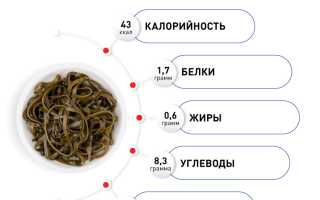 Польза и вред морской капусты для здоровья