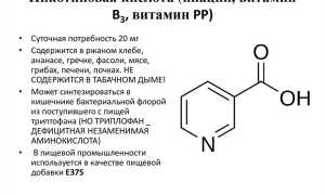 Витамин B3 (никотиновая кислота) и его полезные свойства