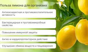 Польза и вред лимона для здоровья человека