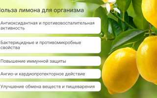 Польза и вред лимона для здоровья человека