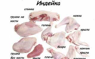 Как правильно выбрать мясо индейки для приготовления?