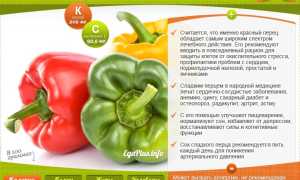 Польза и вред болгарского перца для здоровья
