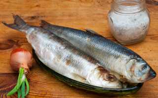 Хранение селедки в холодильнике без рассола: советы и рекомендации