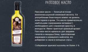 Польза и вред рапсового масла для здоровья