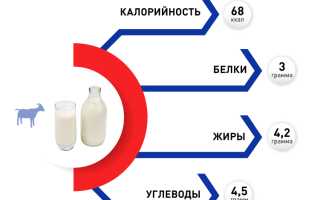 Польза и вред козьего молока для здоровья