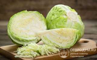 Мороз и капуста: можно ли замораживать белокочанную на зиму?