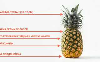 Как правильно выбрать ананас? Полезные советы и рекомендации