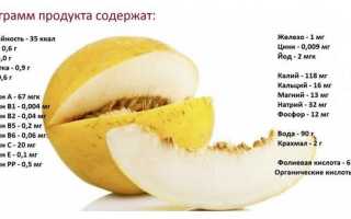Польза и вред дыни для здоровья человека