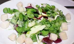 Салат с гребешком: вкусные рецепты. Как готовить морской гребешок