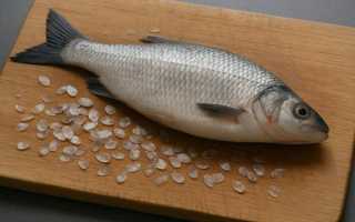 Как понять, что рыба была заморожена повторно, и избежать ошибок