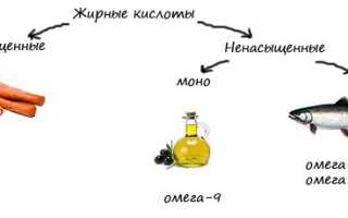 Польза и виды жирных кислот для здоровья человека