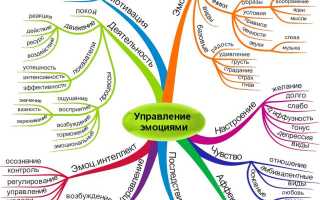 Понимание своих чувств: шаги к эмоциональному миру и гармонии