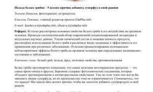 Чем полезны белые грибы и как их лучше солить для здоровья