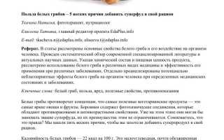 Чем полезны белые грибы и как их лучше солить для здоровья