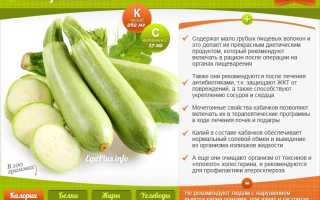 Польза и вред кабачка для здоровья человека