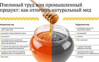 Как отличить натуральный мед от подделки: полезные советы и рекомендации