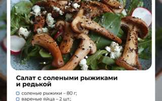 Где искать рыжики и как их готовить вкусно и полезно