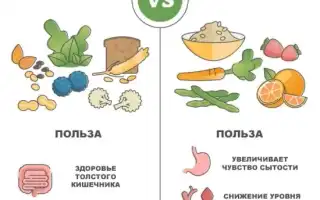 Из каких продуктов брать клетчатку для здоровья