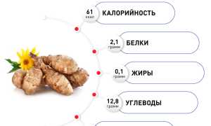Польза и вред топинамбура для здоровья человека