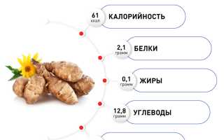 Польза и вред топинамбура для здоровья человека