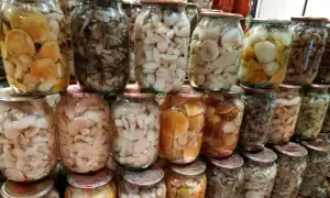 Как засолить грузди на зиму: топ-5 рецептов для вкусного хранения