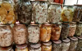 Как засолить грузди на зиму: топ-5 рецептов для вкусного хранения