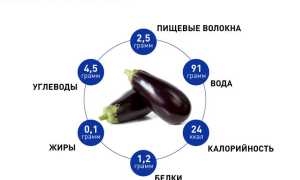 Польза и вред баклажана для здоровья человека