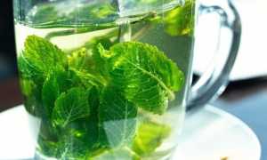 Сохранение аромата и свежести мяты: секреты правильного хранения для долгого использования