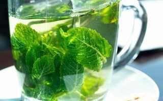 Сохранение аромата и свежести мяты: секреты правильного хранения для долгого использования