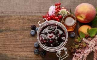 Проверенные рецепты заготовок: черноплодная рябина на зиму для всей семьи