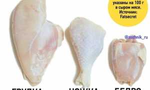 Почему нельзя часто есть куриное филе: важные аспекты здоровья.