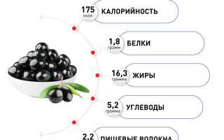 Польза и вред маслин для здоровья человека