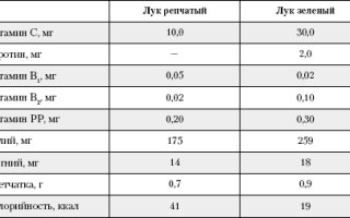 Репчатый лук: польза и вред для здоровья