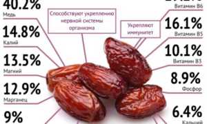 Финики: польза и вред для организма человека и их влияние на здоровье
