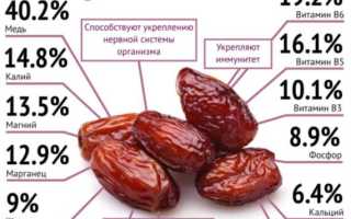 Финики: польза и вред для организма человека и их влияние на здоровье