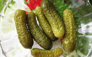 Маринованные корнишоны на зиму – 4 рецепта, которые нужно попробовать