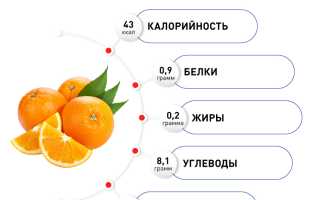 Польза и вред апельсина для здоровья