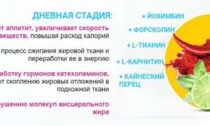 Dietonus — трёхфазное средство для снижения веса и поддержания здоровья