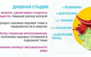 Dietonus — трёхфазное средство для снижения веса и поддержания здоровья