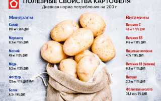 Как правильно выбрать картофель? Полезные советы и рекомендации