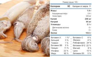 Польза и вред мяса кальмара для организма человека: важные аспекты