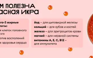 Польза и вред красной икры для здоровья человека