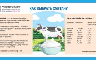 Как правильно выбрать сметану? Полезные советы и рекомендации
