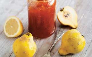 15 рецептов, как приготовить вкуснейший лимонный пирог