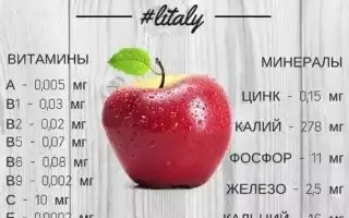 Польза и вред яблок для здоровья человека