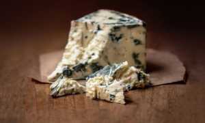 Горгонзола — польза для организма, питательная ценность и критерии правильного выбора сыра