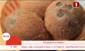 Как правильно выбрать кокос? Полезные советы и рекомендации