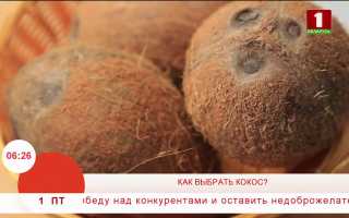 Как правильно выбрать кокос? Полезные советы и рекомендации