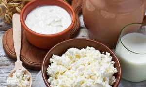 Польза и вред творога для здоровья человека