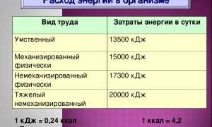 Расходование энергии в организме и влияющие на это факторы: ключевые аспекты и исследования